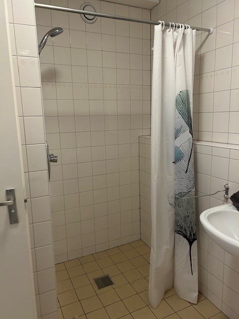 Gele Kwikstaart 34