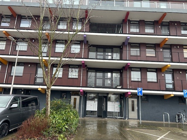 Gele Kwikstaart 34