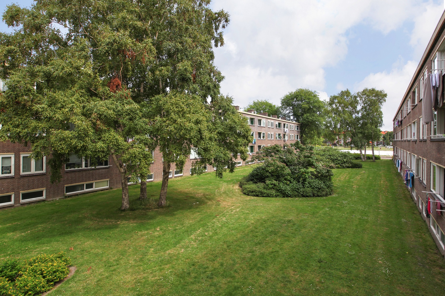 Albert Verweystraat 8