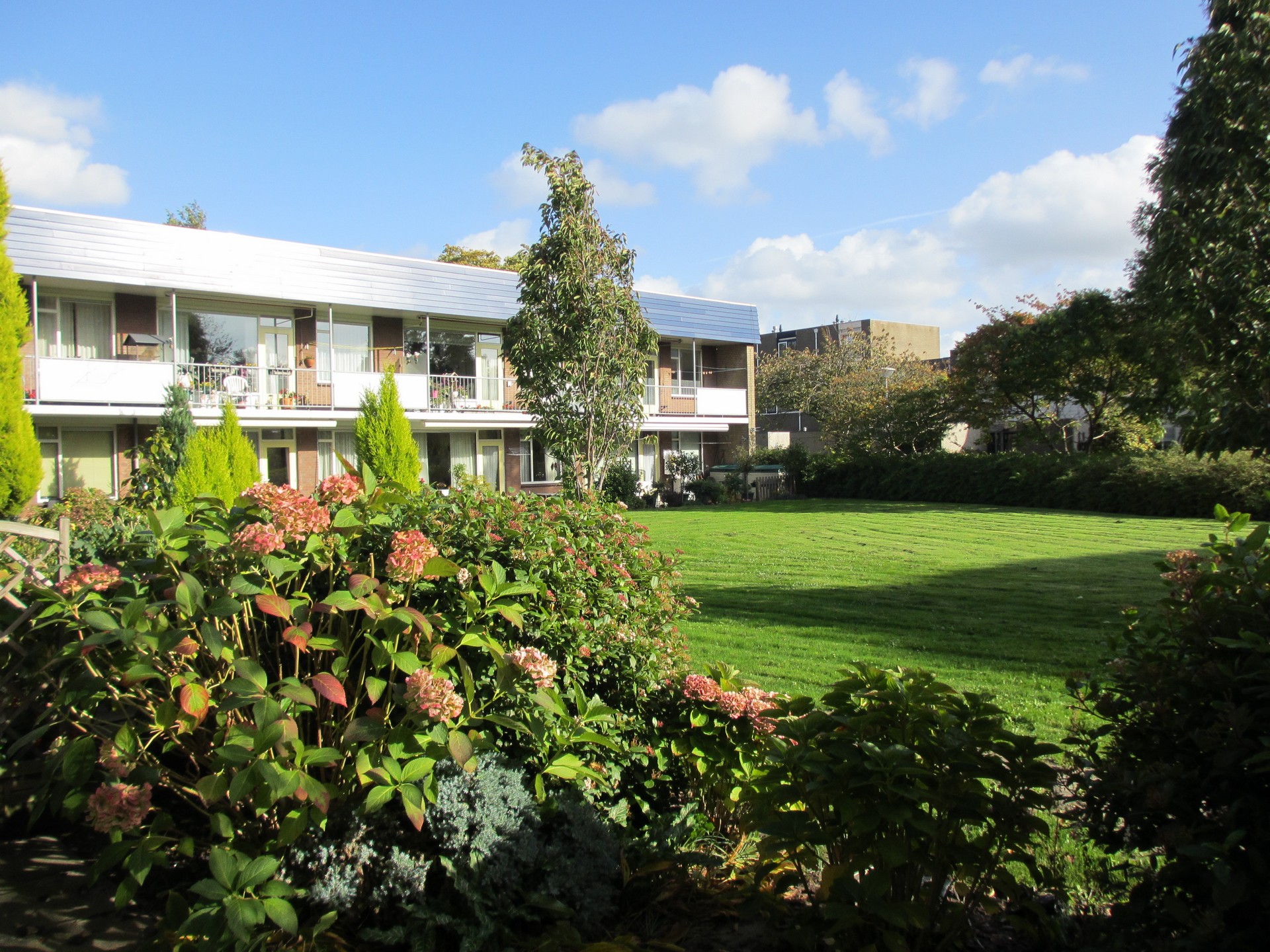 Verdipark 7