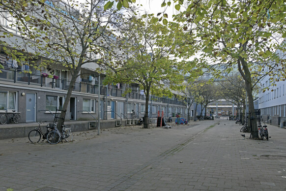 Kraijenhoffstraat 84