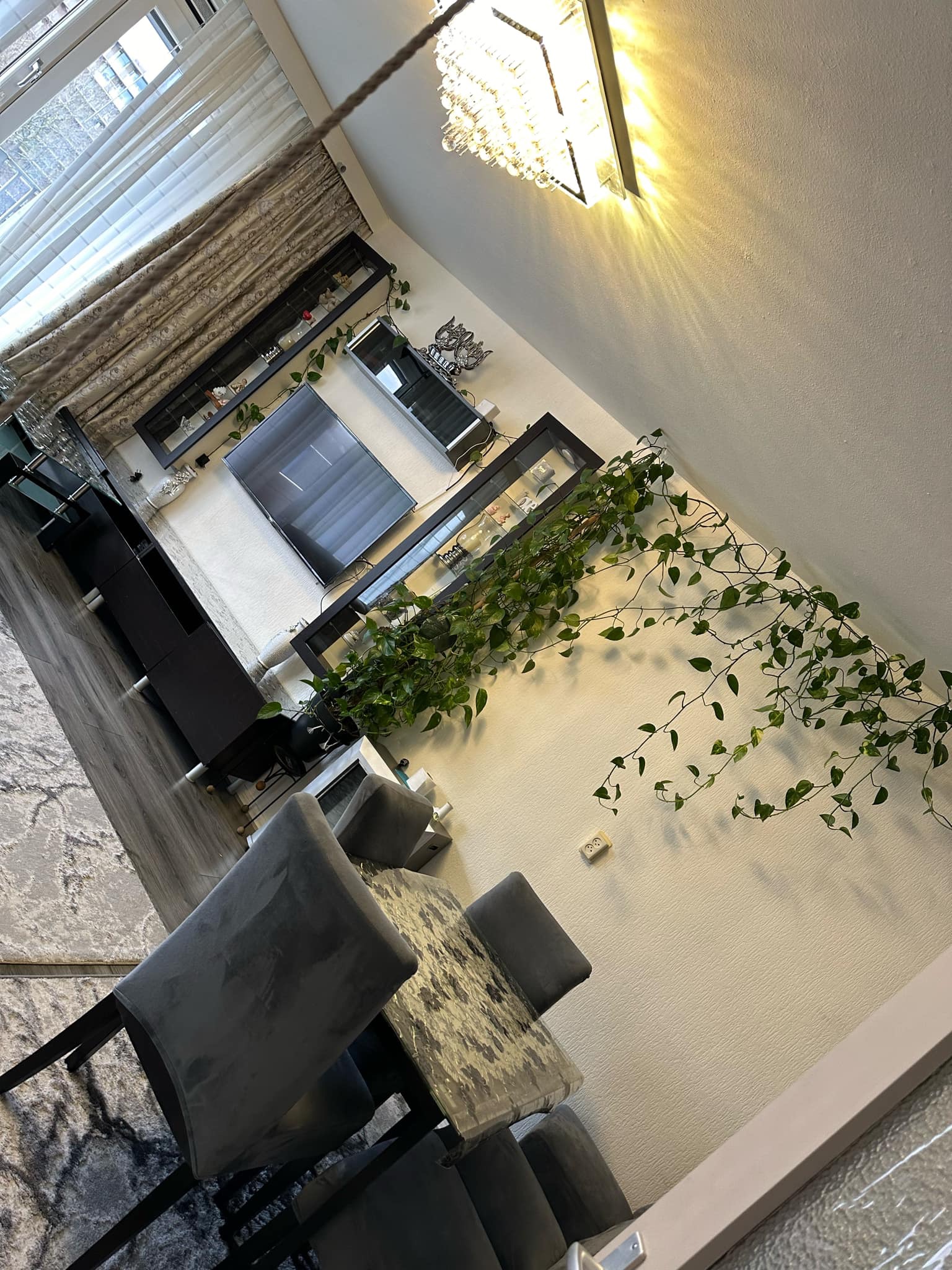 Cornelis Boslaan 1566