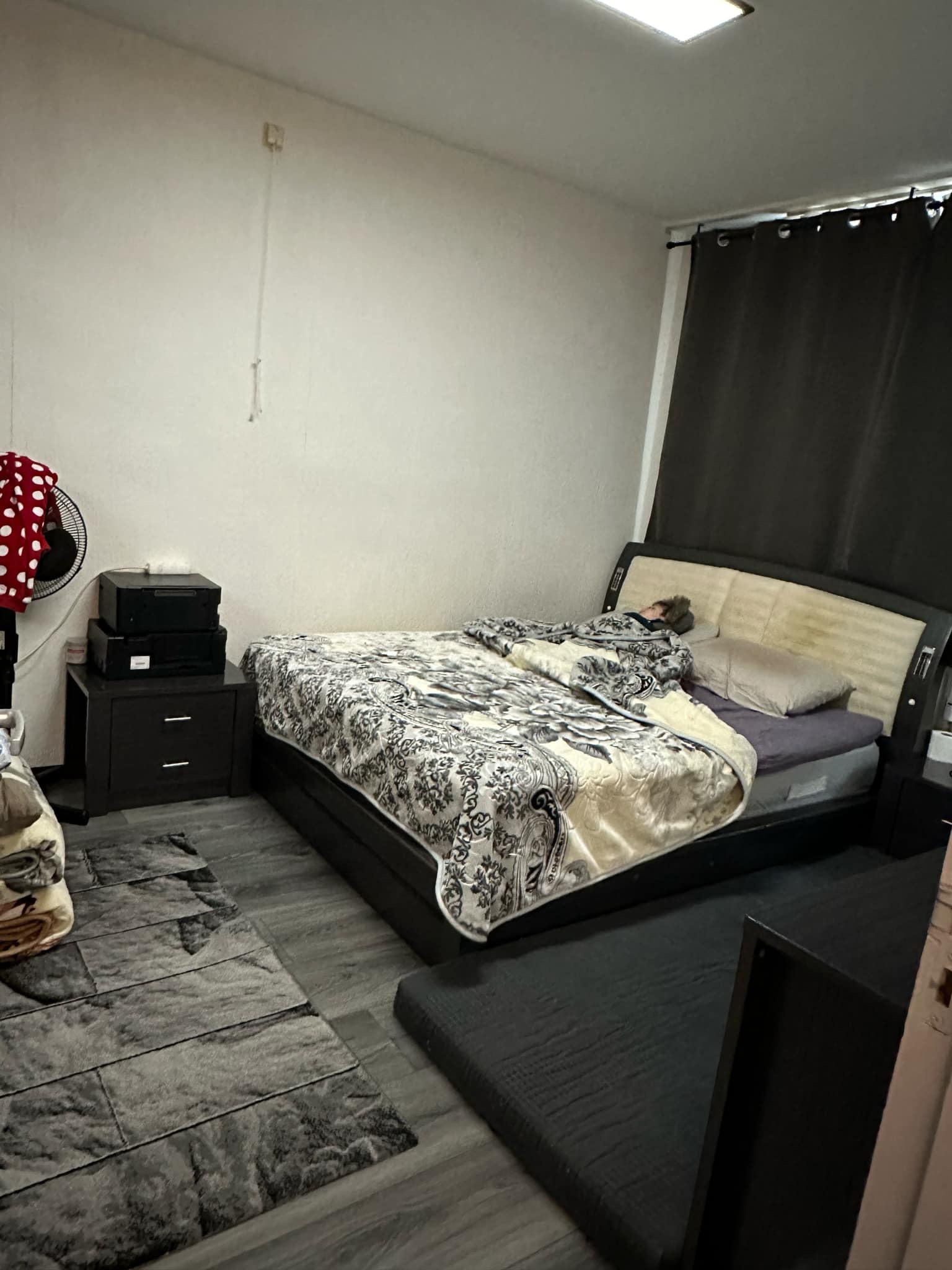 Cornelis Boslaan 1566