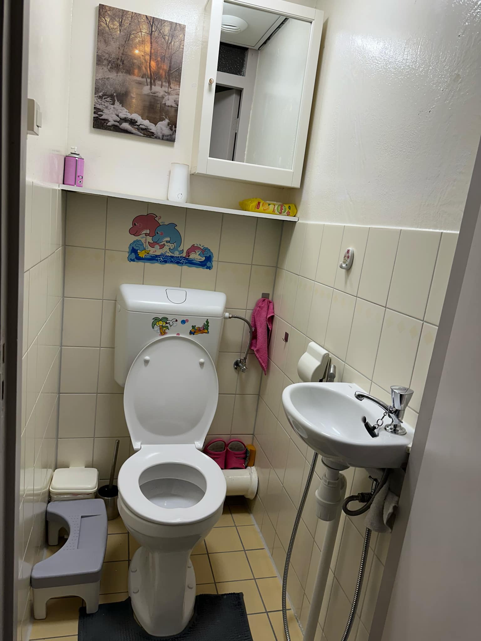 Cornelis Boslaan 1566