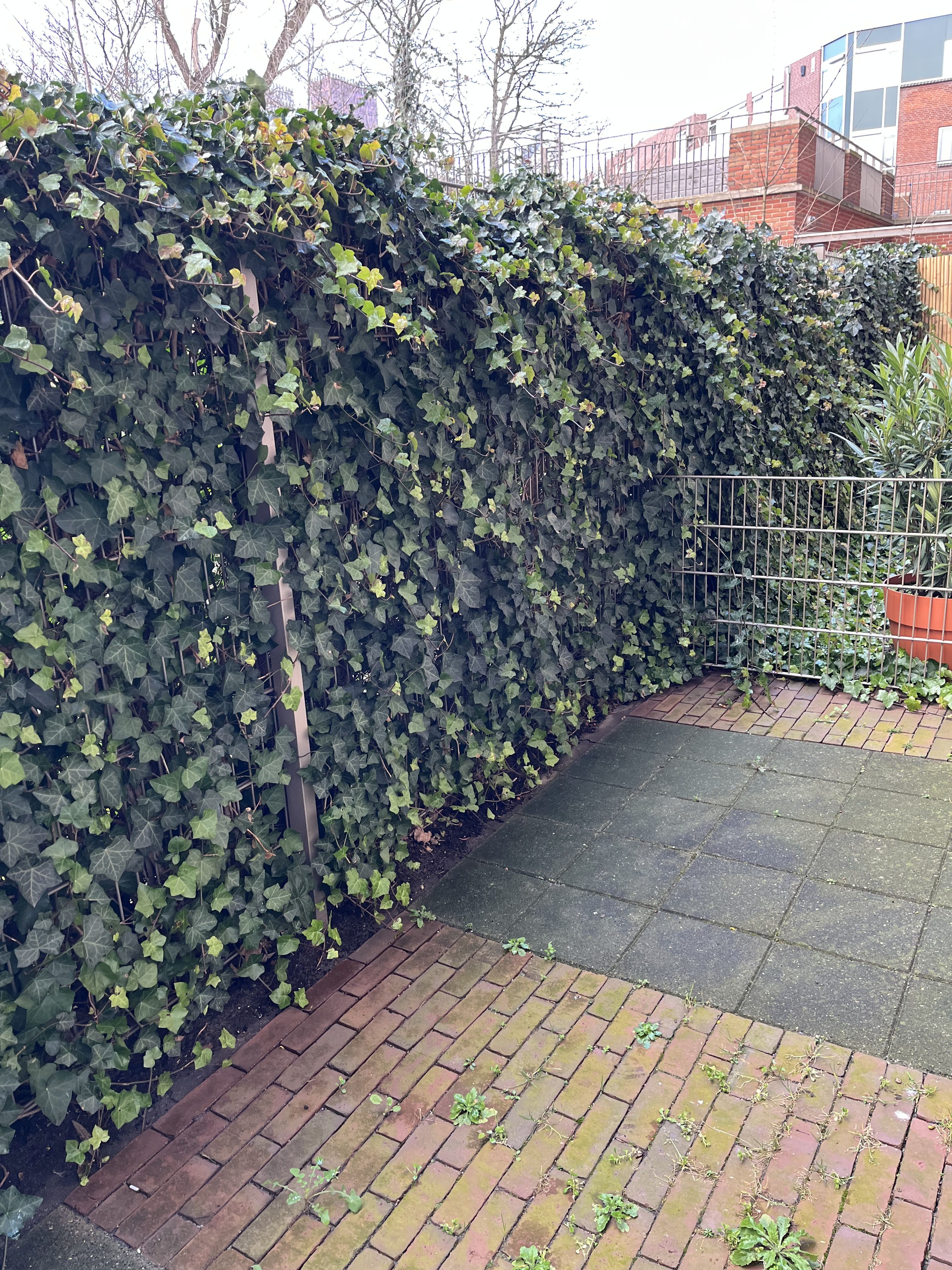 Hendrick Hamelplantsoen 28