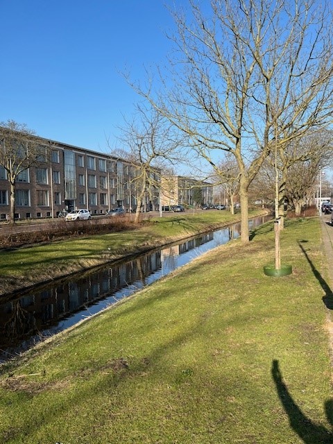 Tesselschadelaan 118