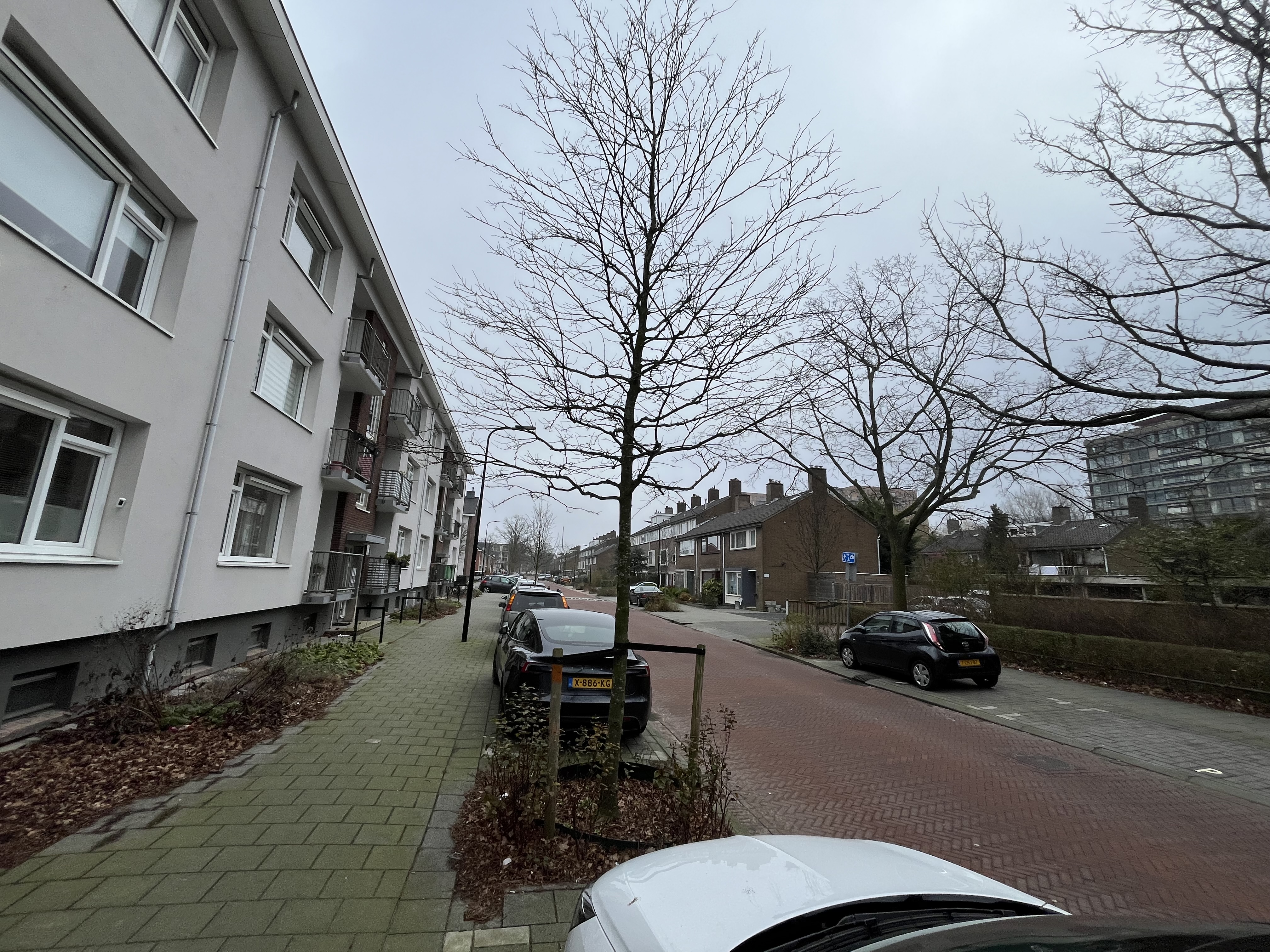 Karel Doormanlaan 296