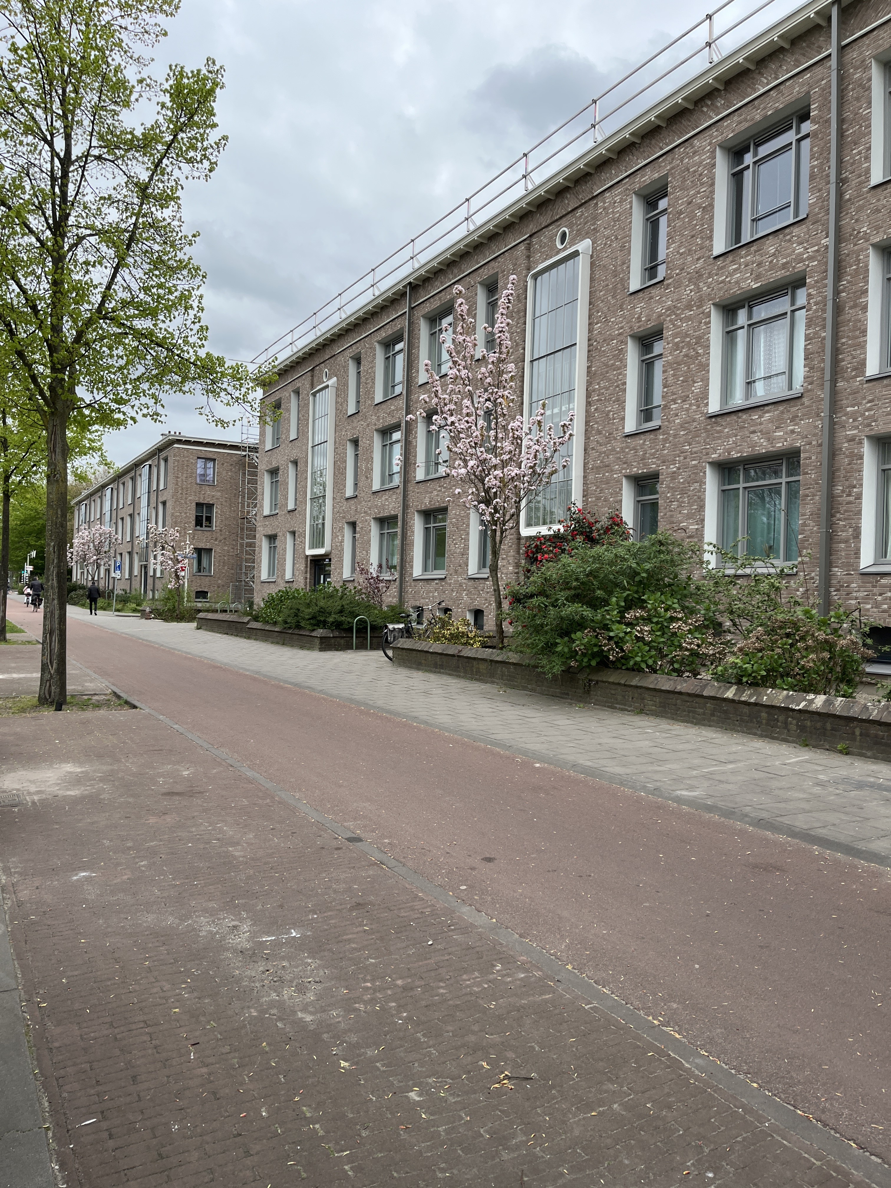Van Baerlestraat 24, 2533 LL Den Haag, Nederland