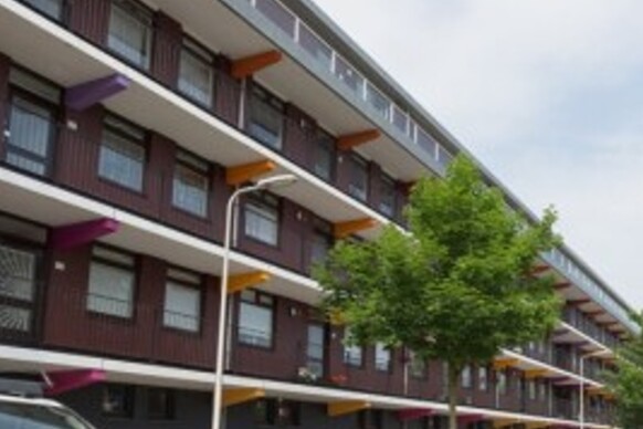 Gele Kwikstaart 45