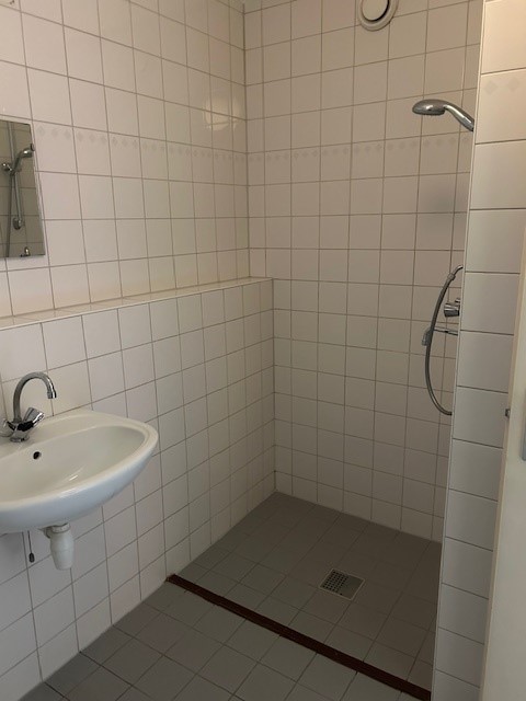 Gele Kwikstaart 45