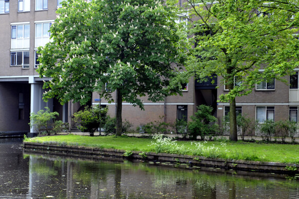 Waterblok 15
