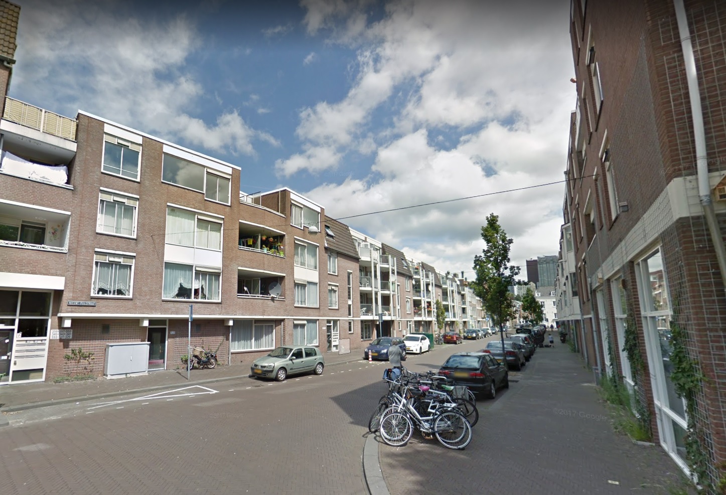 Nieuwe Molstraat 355