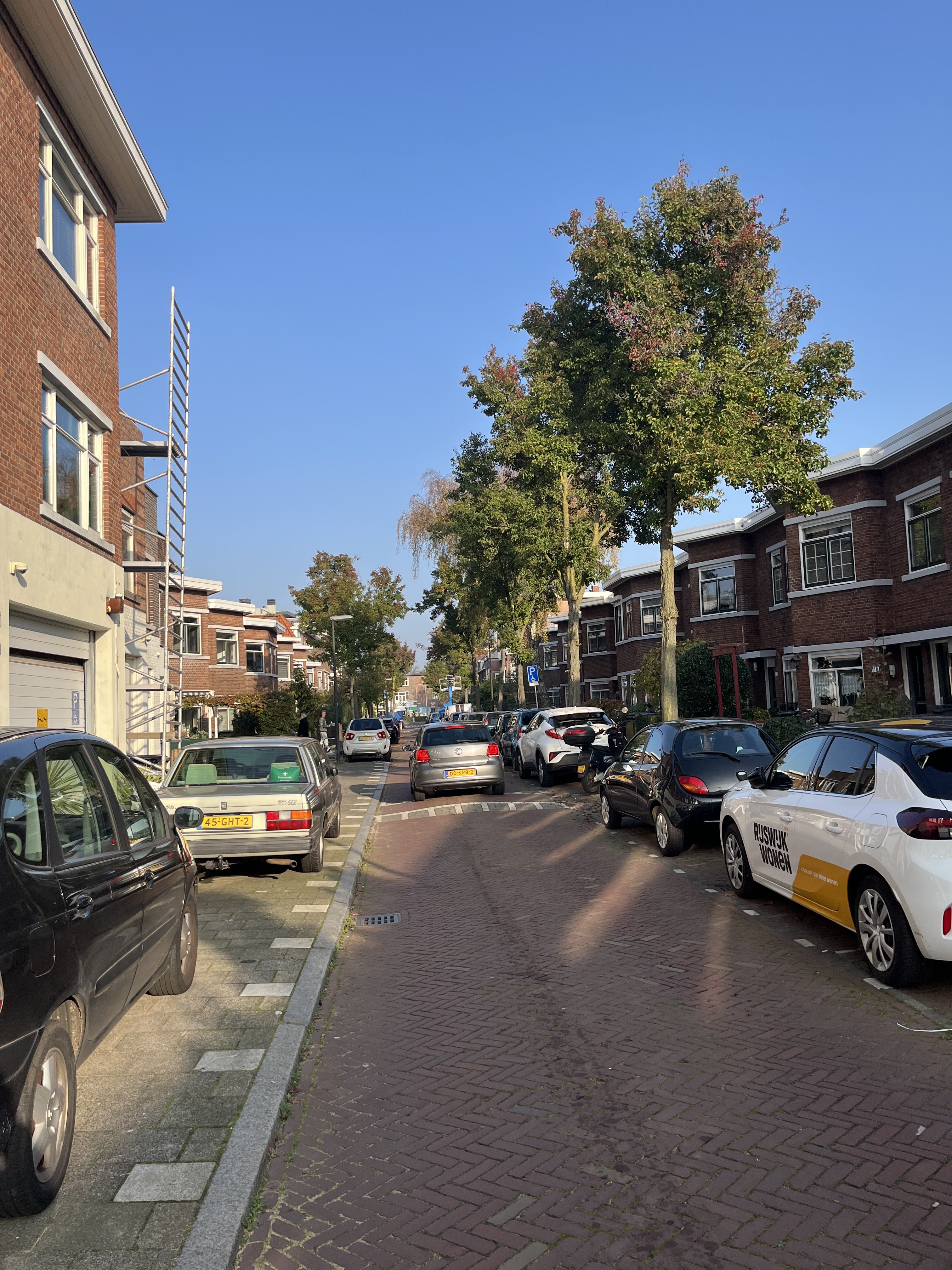 Tulpstraat 114