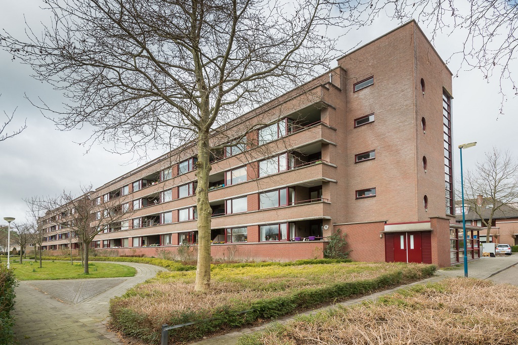 Palissanderhout 79