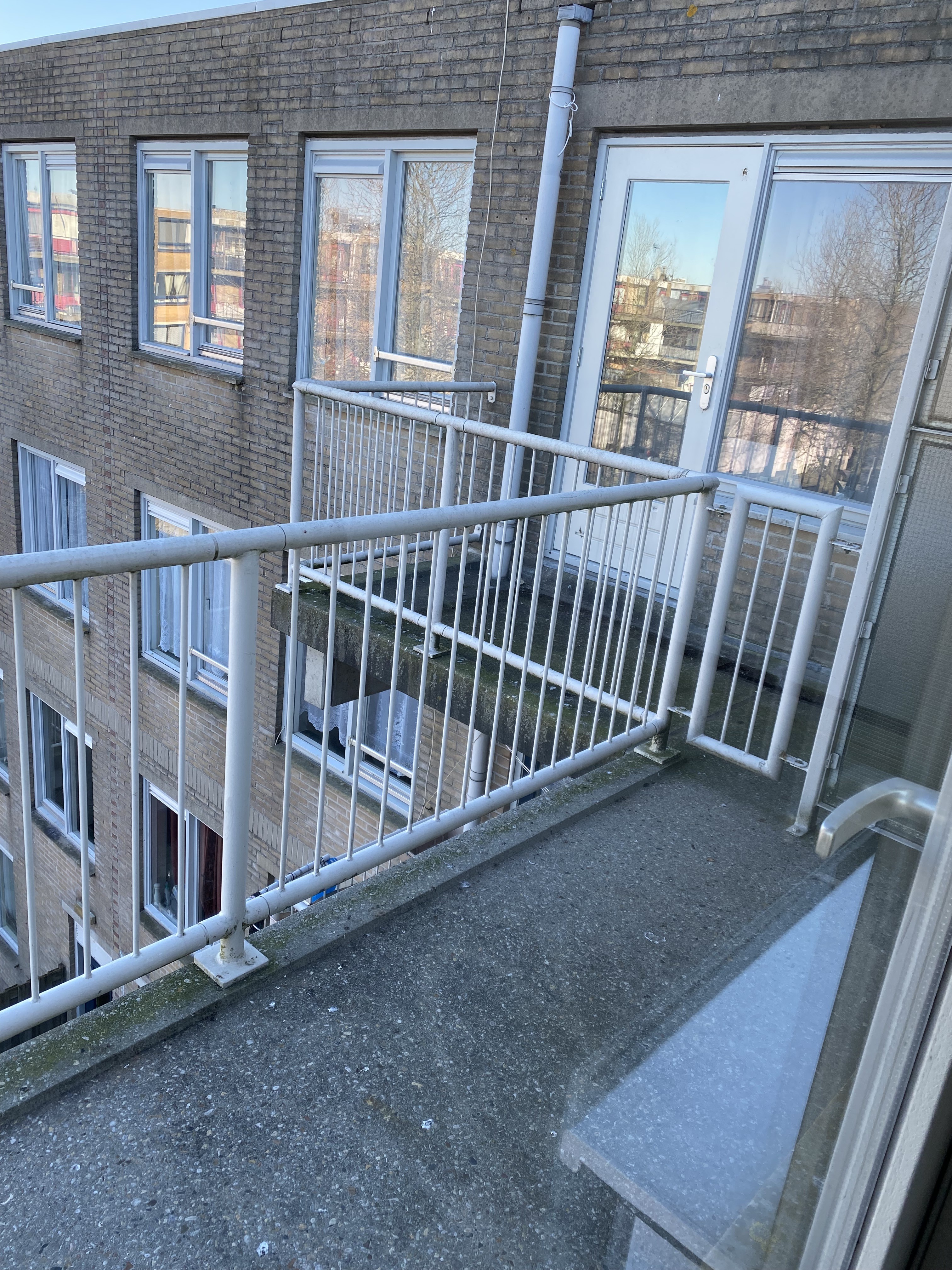 Jan Pienemanstraat 117