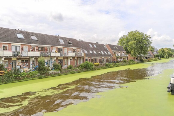 Oosterstraat 50