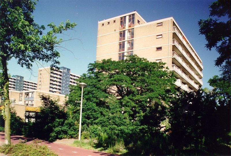 Stieltjesstraat 318, 2521 TS Den Haag, Nederland