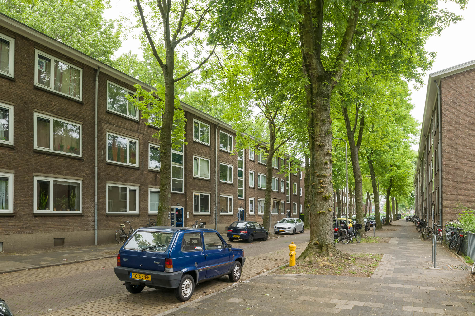Van Assendelftstraat 21