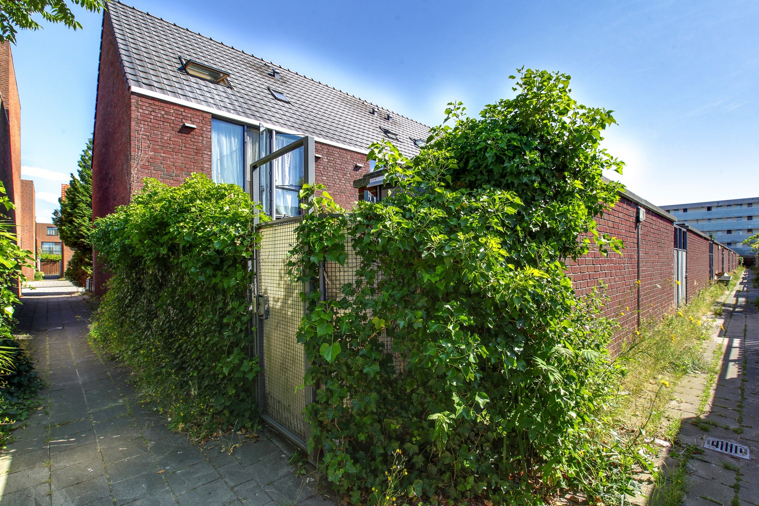 Pernisstraat 81