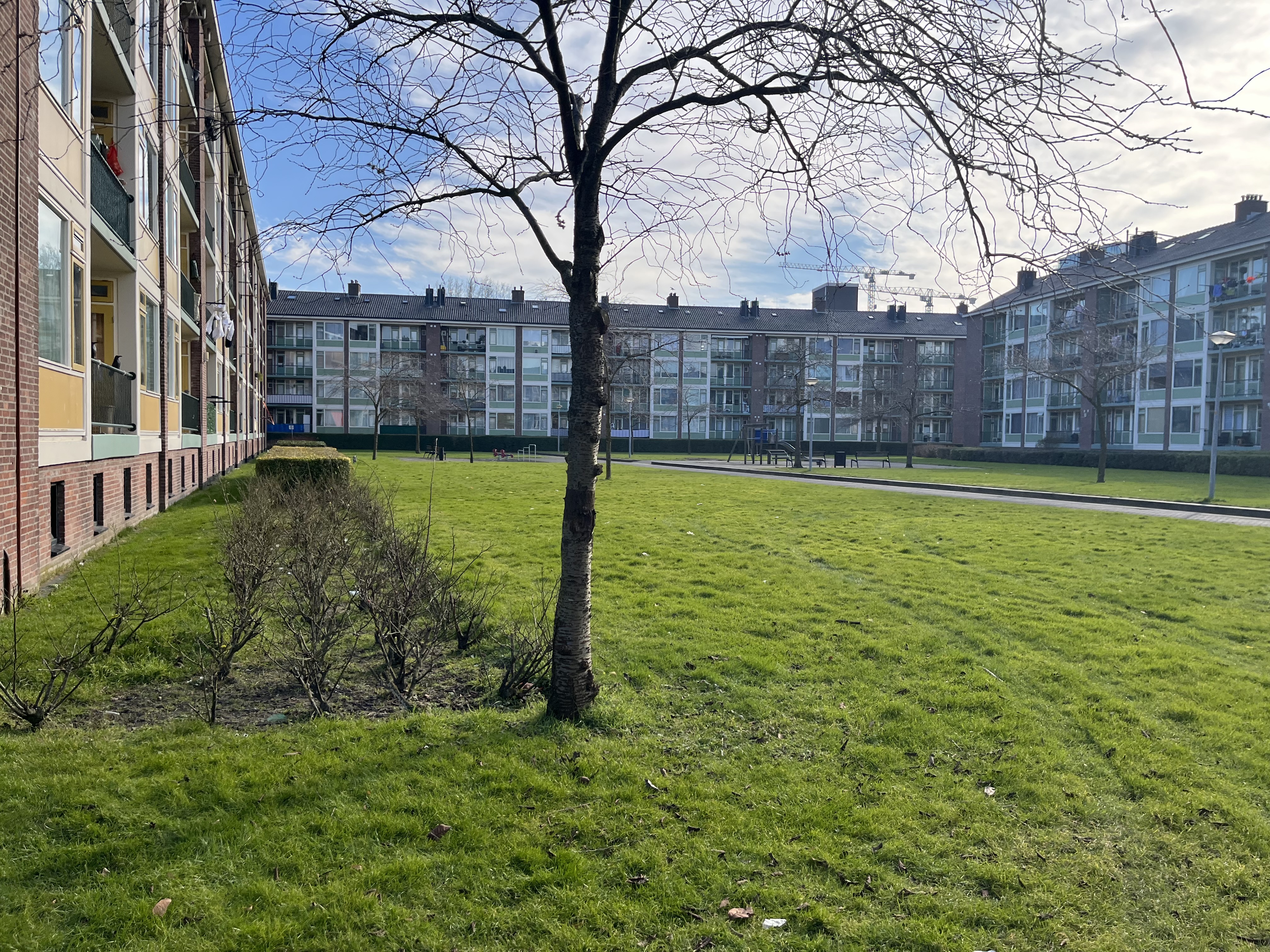 Hoogkamerlaan 46