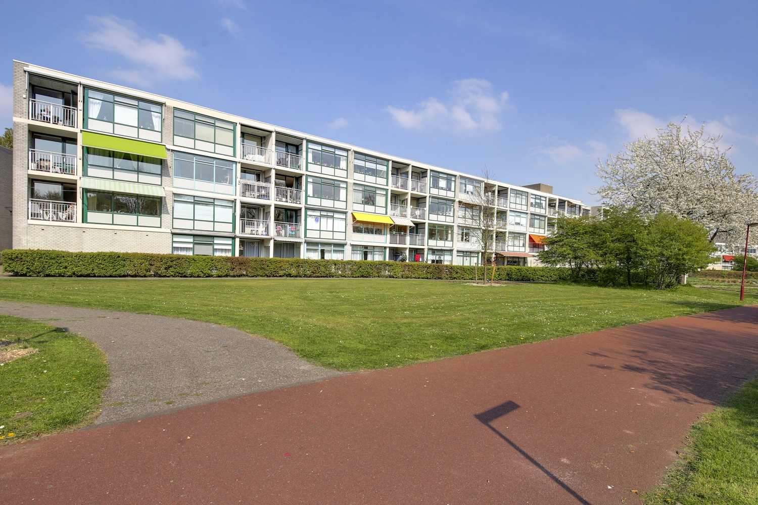 Donkergroen 75