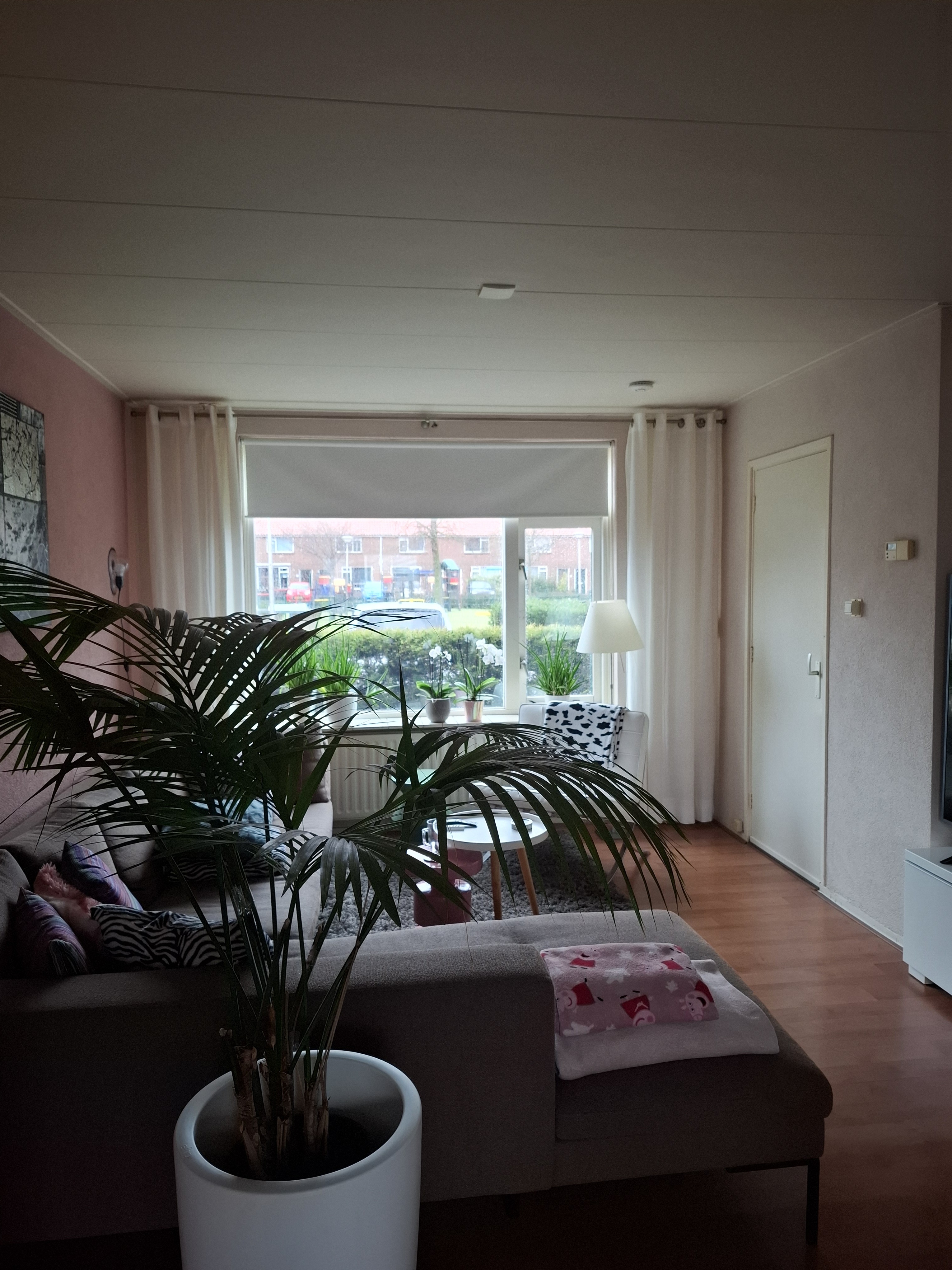 2e van Reenenstraat 25