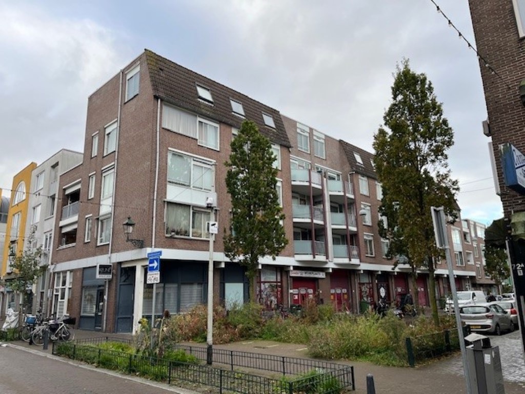 Nieuwe Molstraat 300