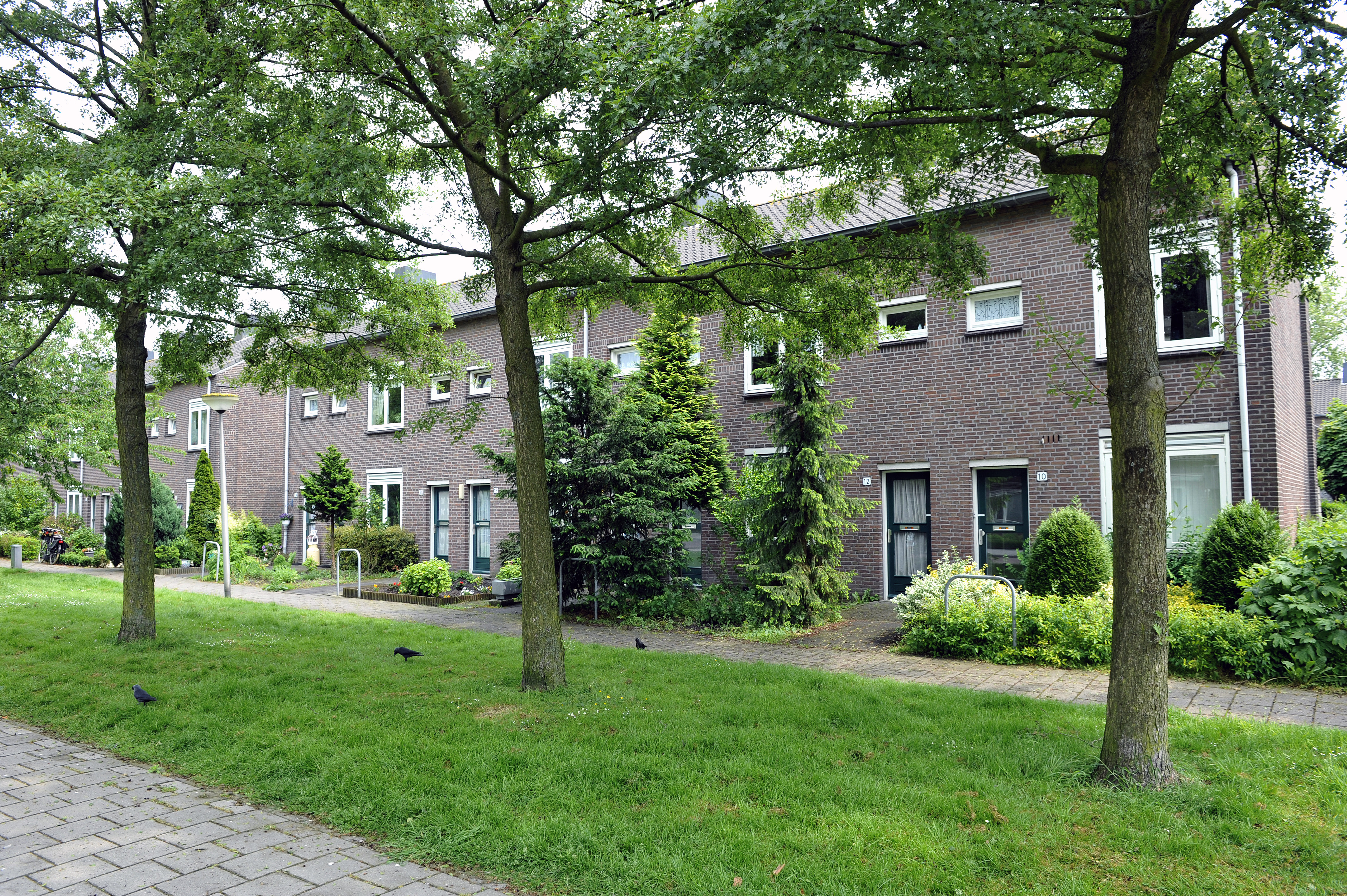 Arubastraat 38
