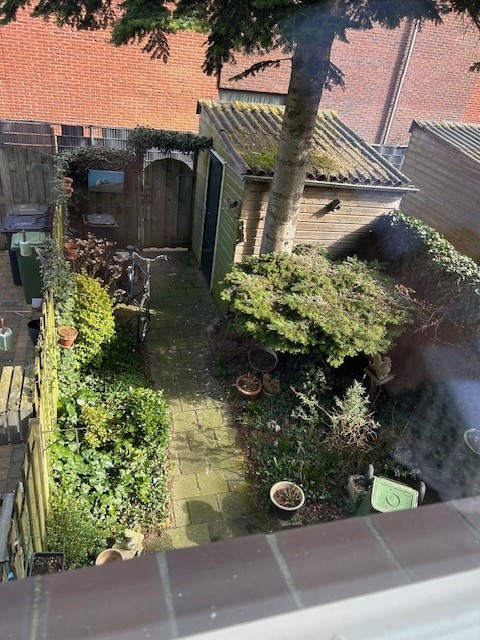 Wilhelminastraat 37