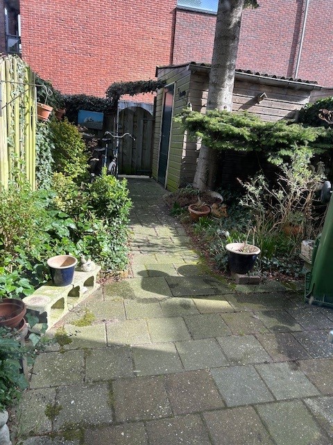 Wilhelminastraat 37