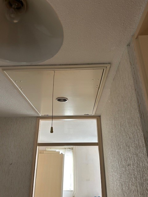 Wilhelminastraat 37