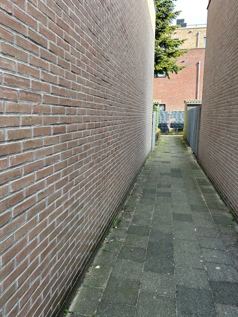 Wilhelminastraat 37