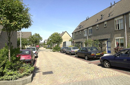 Schelfhout 31