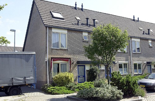 Schelfhout 31