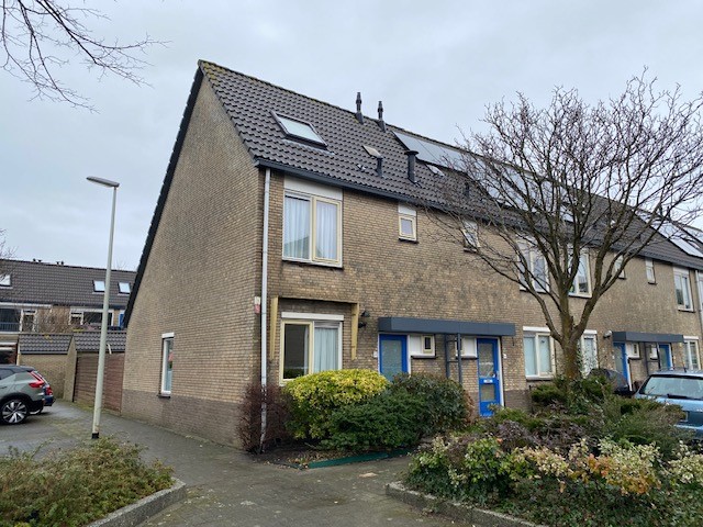 Schelfhout 31