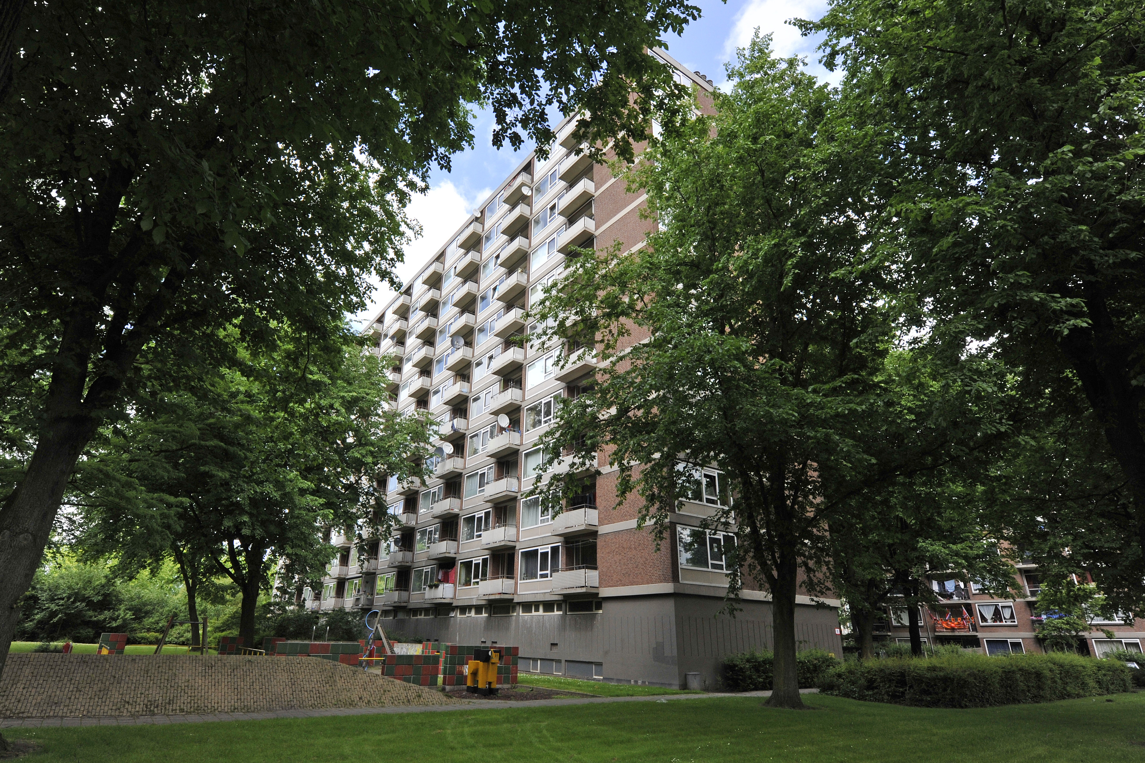 Poptahof Noord 255