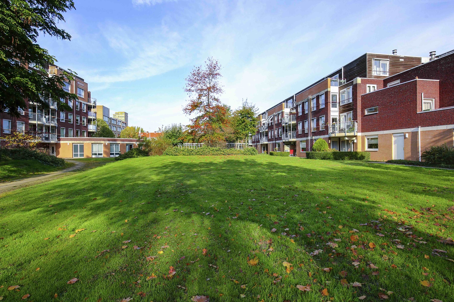 Cort van der Lindenstraat 215