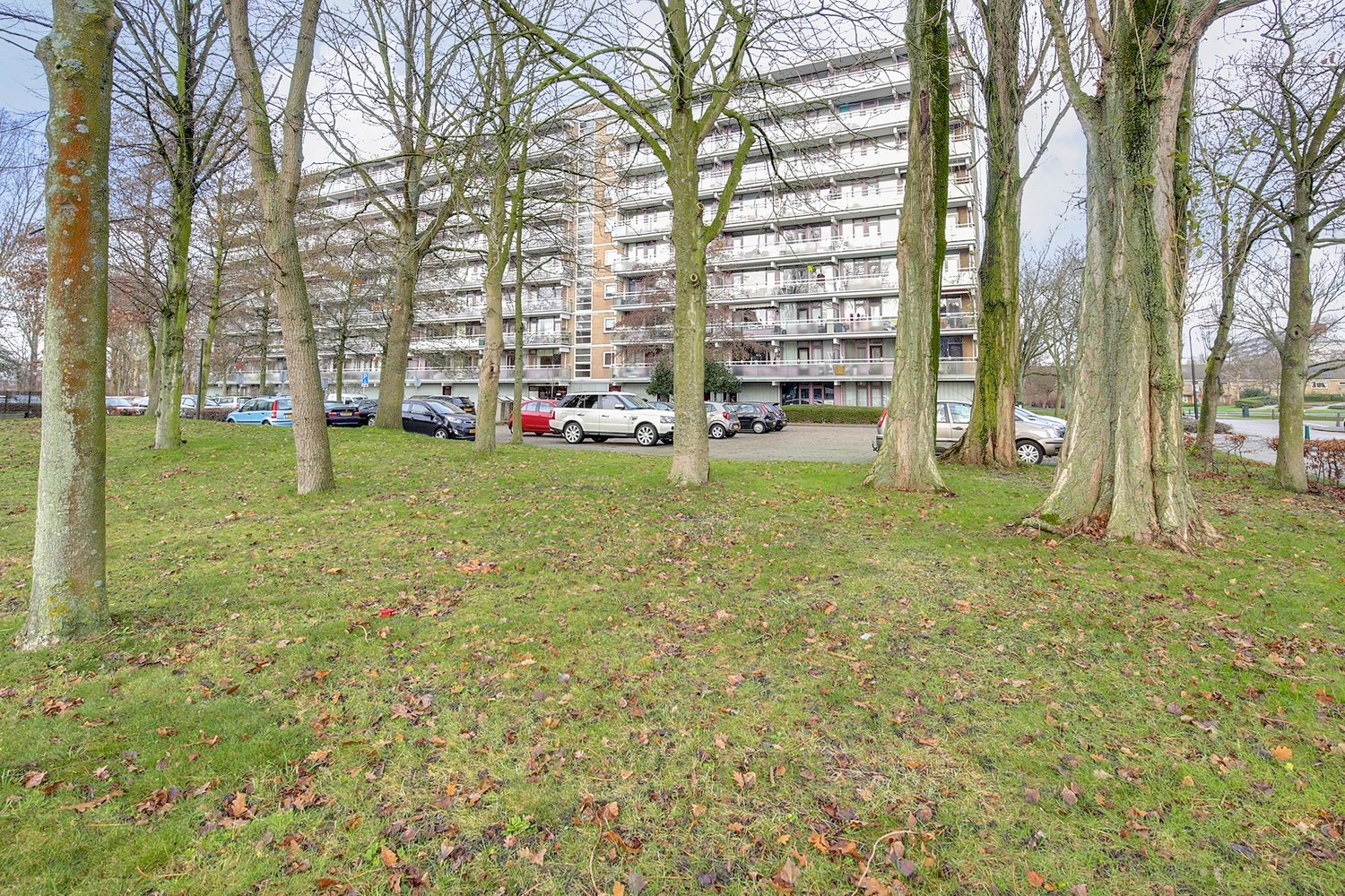 Aletta Jacobsstraat 64