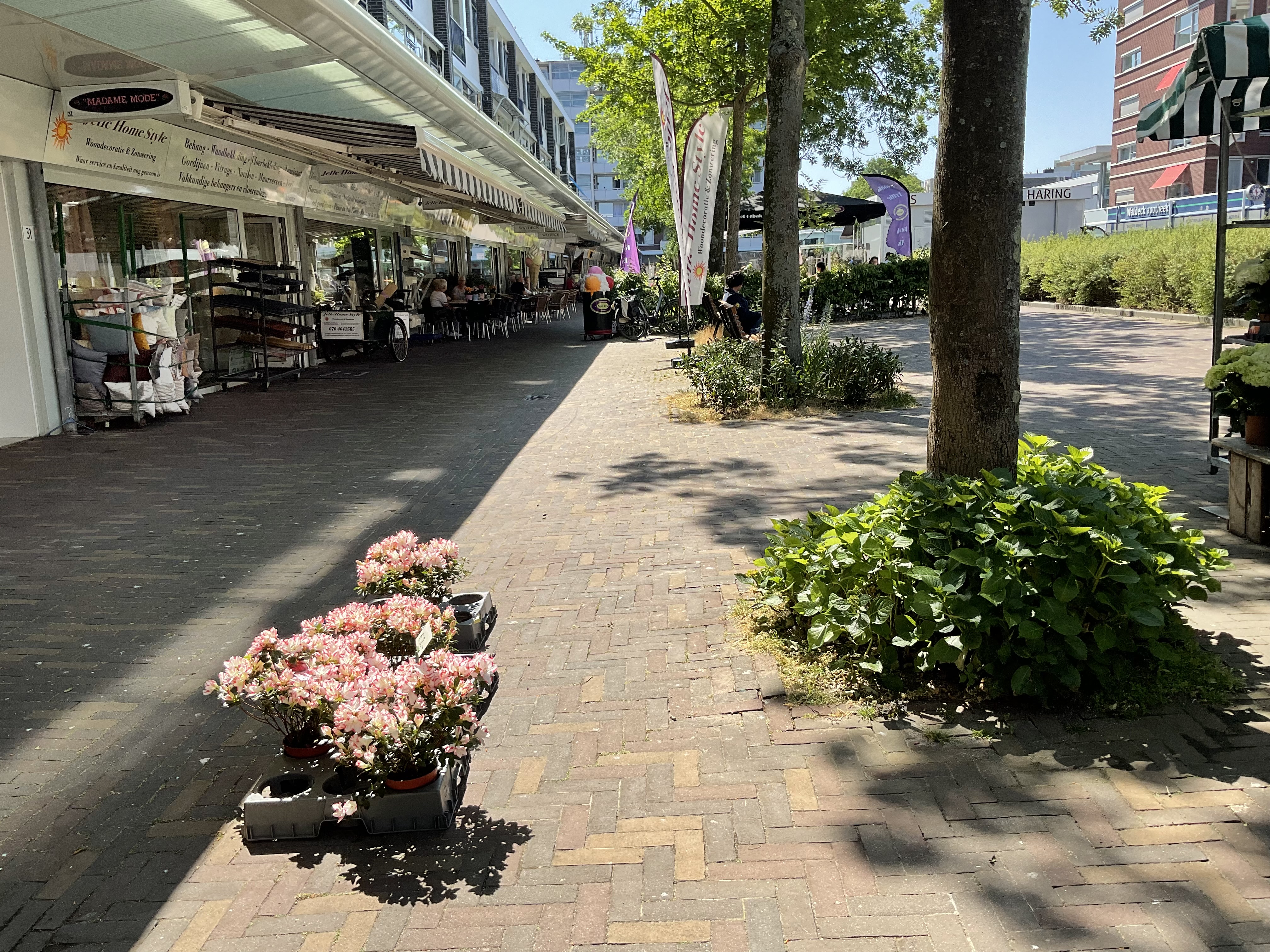 Albardastraat 13F