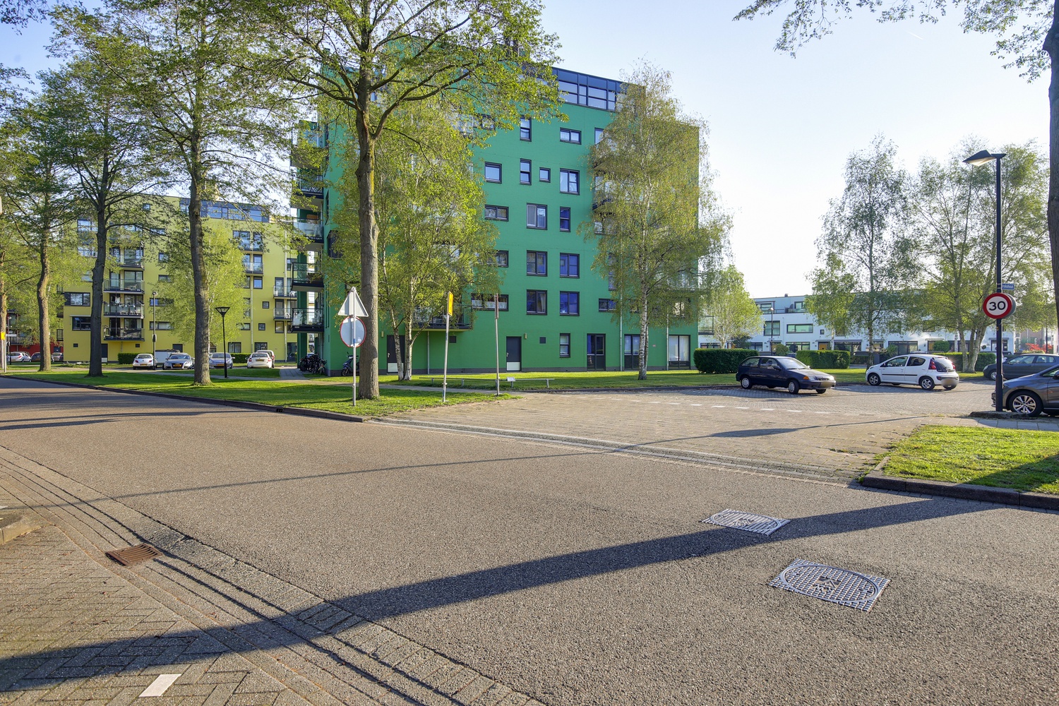 Iepehout 13