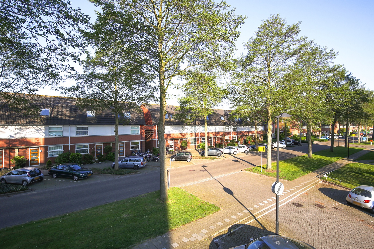 Iepehout 13