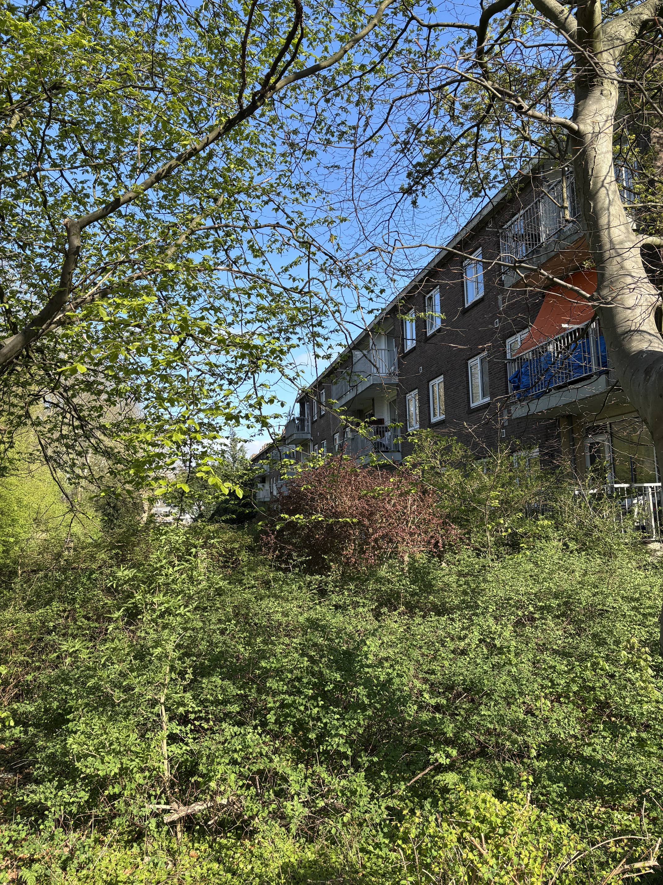 Havenstraat 116