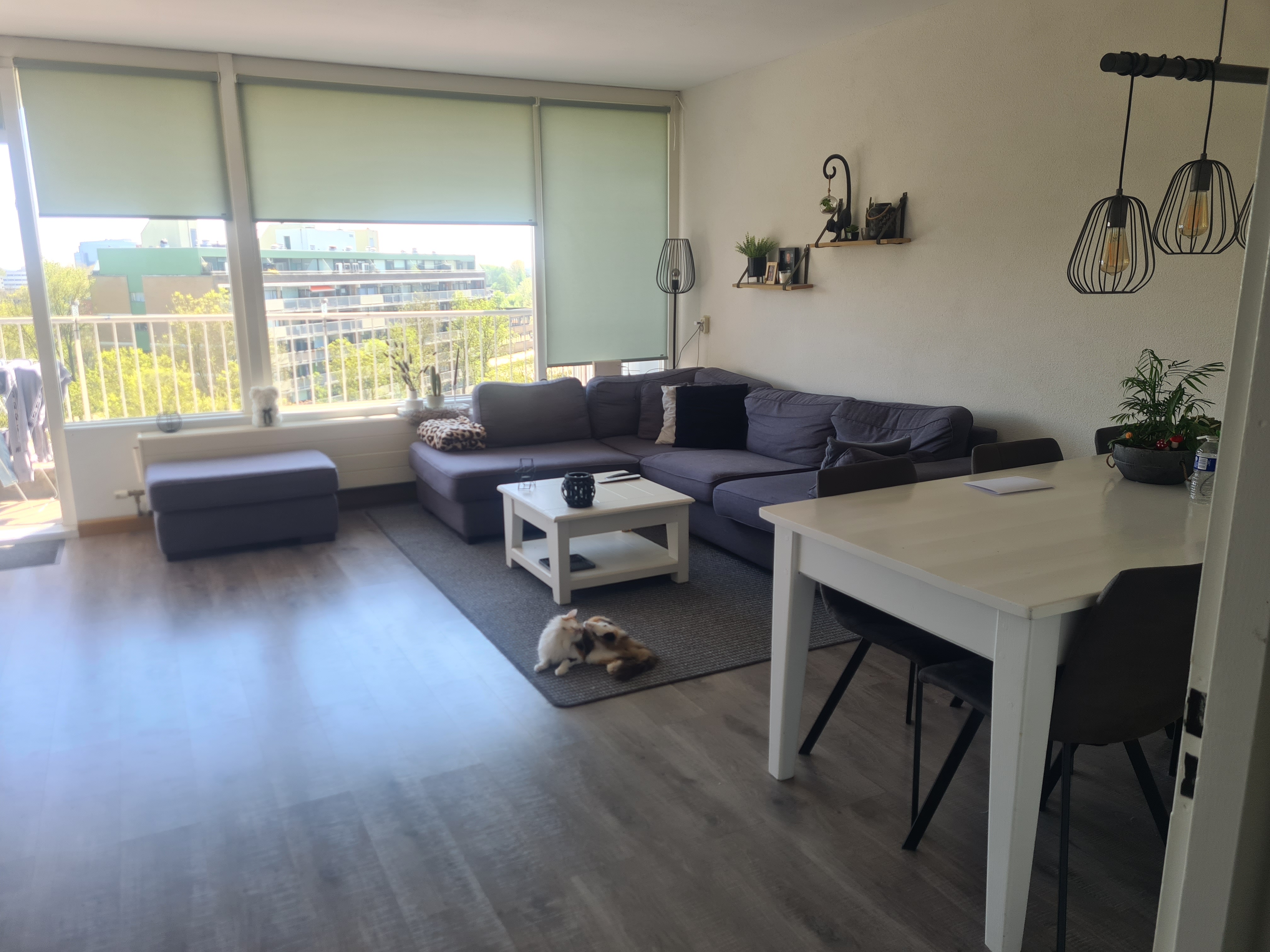 Savelsbos 258, 2716 HA Zoetermeer, Nederland