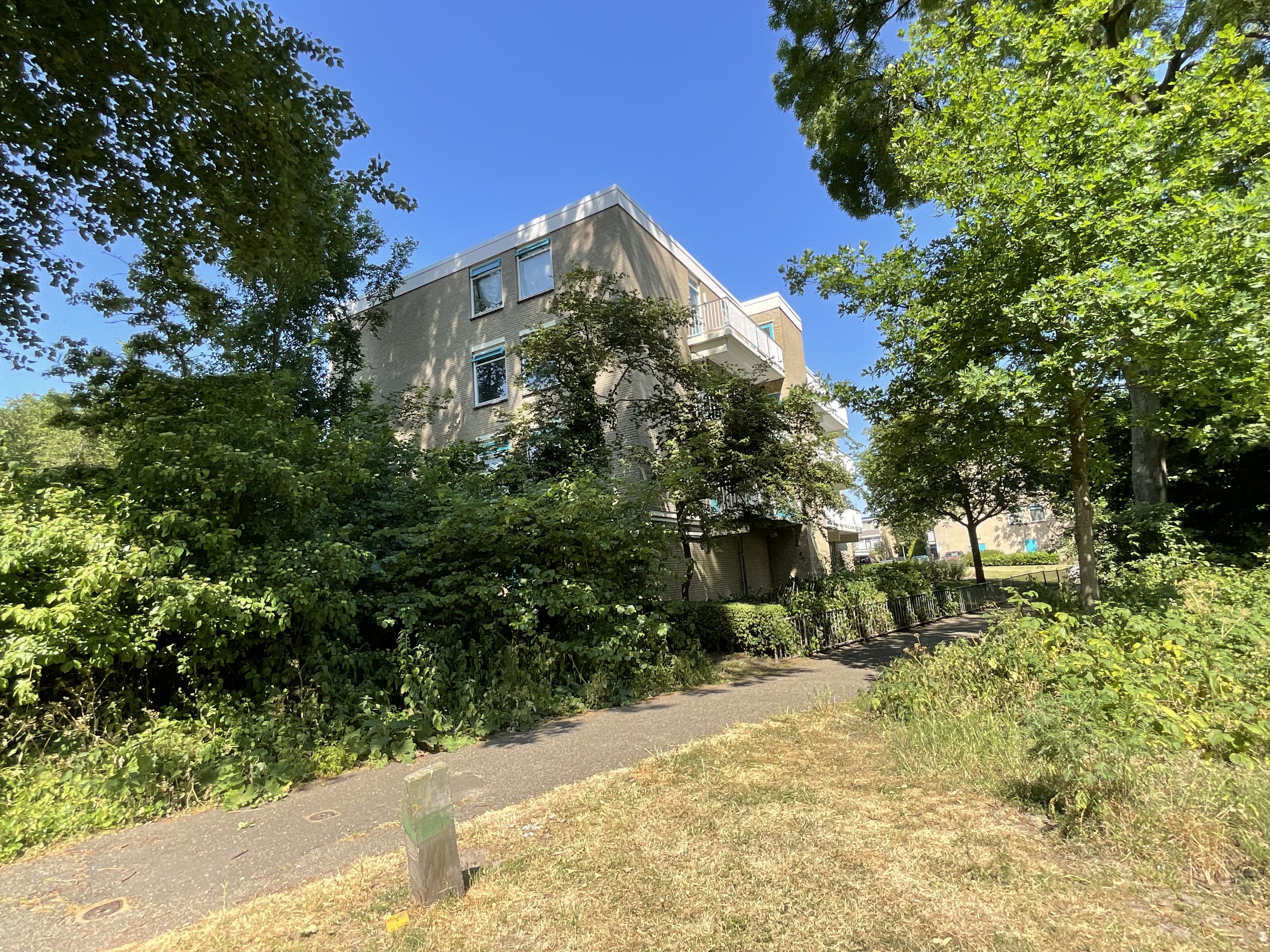 Aaltje Noordewierstraat 122