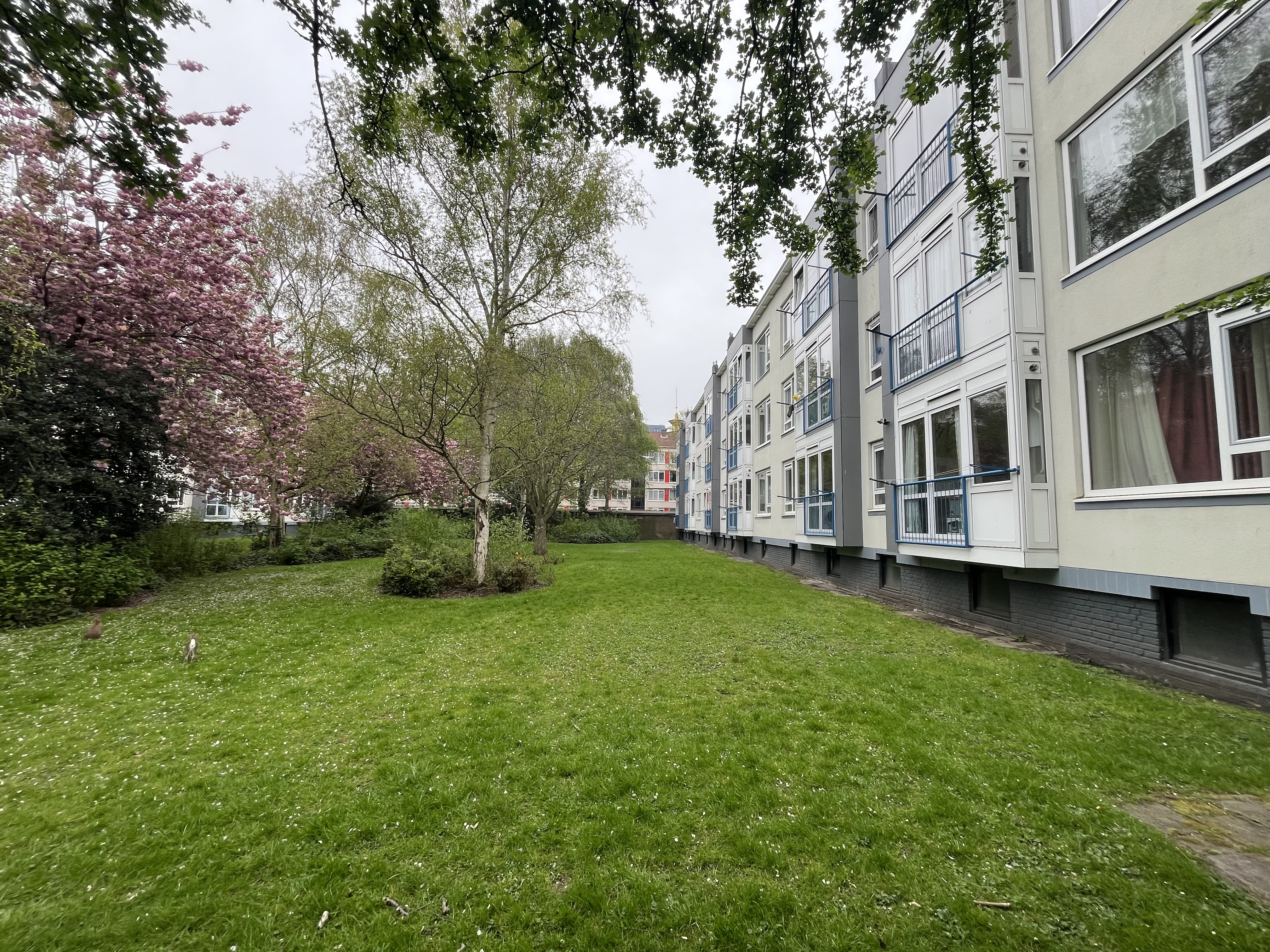 Louis Bouwmeesterstraat 84