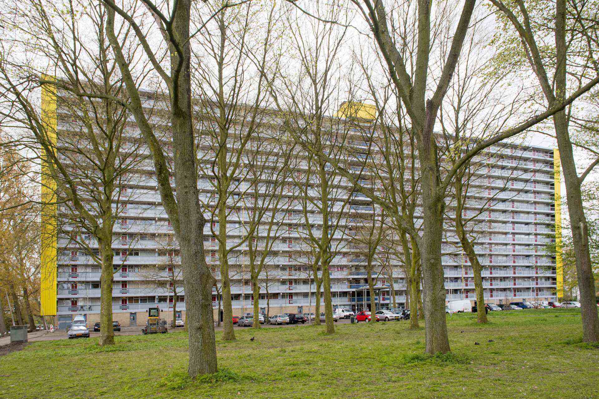 Lisztstraat 113