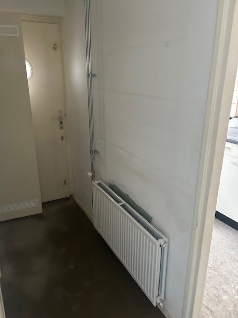 Fabritiusstraat 29