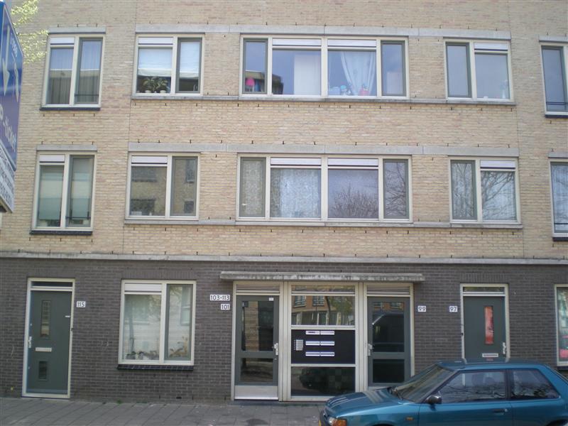 Netscherstraat 133