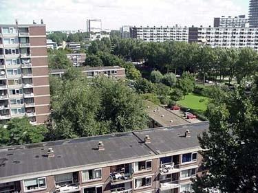Poptahof Noord 367, 2624 RX Delft, Nederland