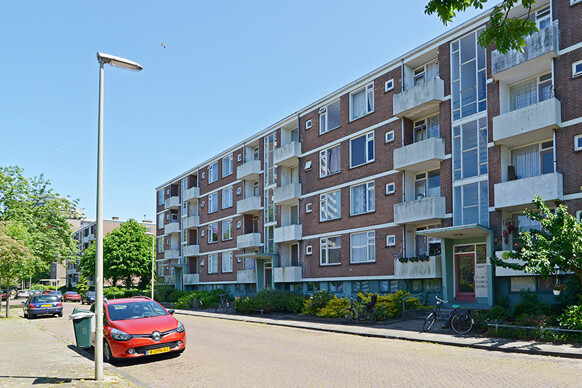Haverkamp 251